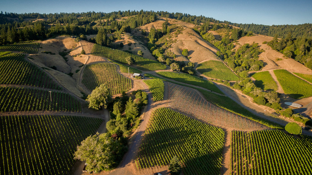 Bearwallow Vineyard Overview