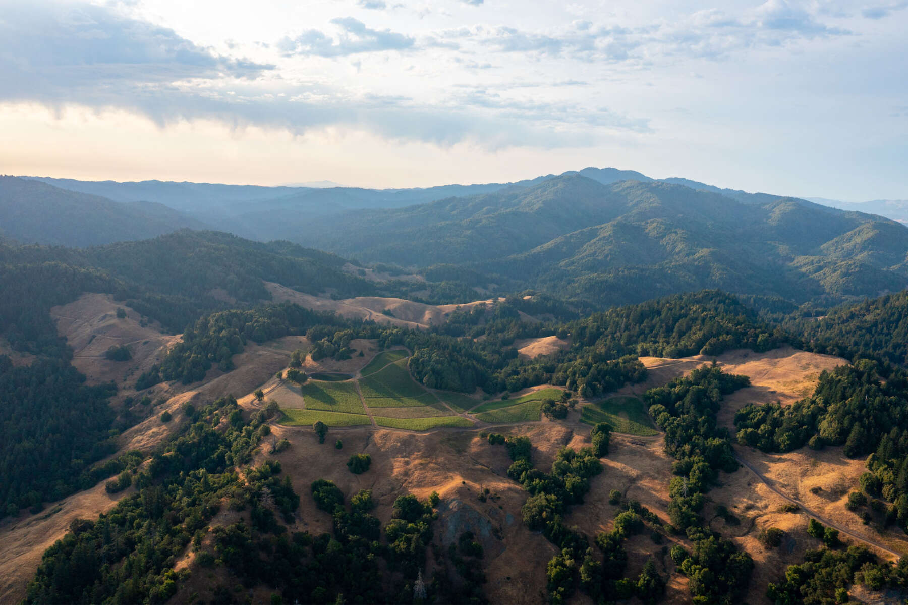 Clarke Ranch drone shot